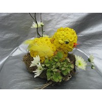 Композиция „Пиленце“ № 516