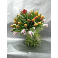 Пъстроцветен пролетен букет с 51 стръка лалета, нежна зеленина , привързан с естествена кора и рафия Пъстроцветен пролетен букет с 51 стръка лалета, нежна зеленина , привързан с естествена кора и рафия