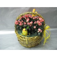 Азалия в кошница