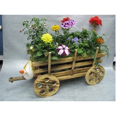 Саксийно растение Азалия, аранжирано в кошничка.