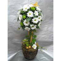 Пробуждане Пробуждане