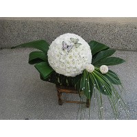 Съвършенство Съвършенство