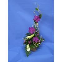 Полет Полет