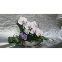 Липсваш ми Липсваш ми