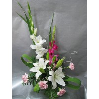 Рапсодия Рапсодия