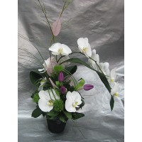 Възторг Възторг