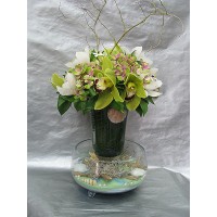 Морско дъно Морско дъно