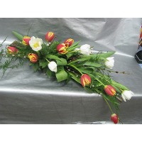 Мечта Мечта