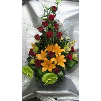 Феерия Феерия