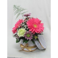 Настроение Розови гербери, декорирани в кутия с зелен карамфил и хризантема. Настроение Розови гербери, декорирани в кутия с зелен карамфил и хризантема.