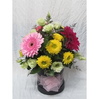 Настроение Пъстроцветни гербери аранжирани в черна кутия с хризантема и еустома. Настроение Пъстроцветни гербери аранжирани в черна кутия с хризантема и еустома.