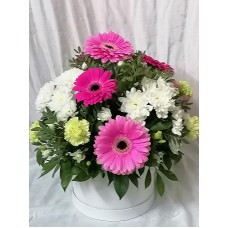 Розови гербери  и бяла хризантема декорирани в стилна кутия.