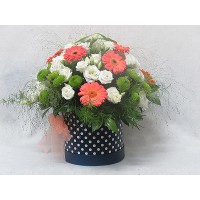 Комбинация от гербер, хризантема и еустома, аранжирани в празнична кутия. Комбинация от гербер, хризантема и еустома, аранжирани в празнична кутия.