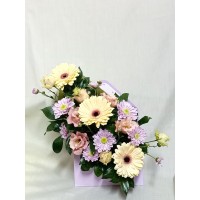 Гербери, еустома и хризантема в нежни, пастелни тонове, аранжирани в кутия плик. Гербери, еустома и хризантема в нежни, пастелни тонове, аранжирани в кутия плик.