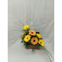 Жълти и оранжеви гербери, аранжирани в стилна кутия. Жълти и оранжеви гербери, аранжирани в стилна кутия.