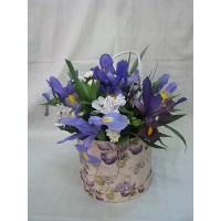 Пролетна импресия Пролетна импресия