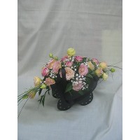 Като пеперуда Като пеперуда